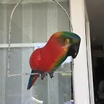 Apartmán Maupin Stephane *